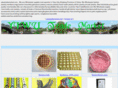 yiwutrademarket.com