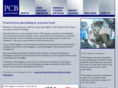 accountingfraudlitigation.com
