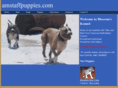 amstaffpuppies.com