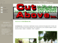 cutabovetricities.com