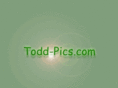 todd-pics.com