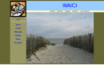 waici.com