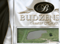 budzenskiquarterhorses.com