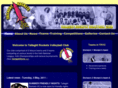 tallaghtrocketsvc.com
