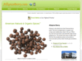 allspiceberry.com