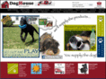 bigddog.com