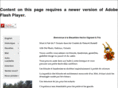 bleuethectordignard.com
