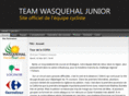teamwasquehaljunior.com
