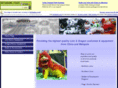 jingwuusa.com