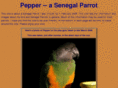 senegalparrot.net