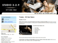 studio329toledo.com