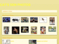 catsdenphoto.com