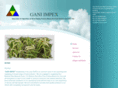 ganiimpex.com