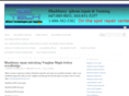 repairblackberry.com