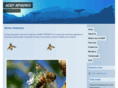 thehoney-comb.com