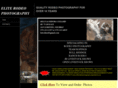 eliterodeophotography.com