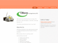olsenconciergeservices.com