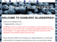 sunburstblueberryfarm.com