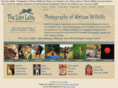 thelionlady.com