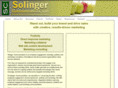 timsolinger.com