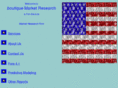 boutiquemarketresearch.com