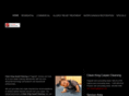 cleankingcarpetcleaning.com