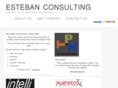 estebanconsulting.com