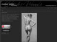 limitsurface.com