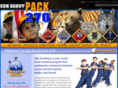 pack270.org