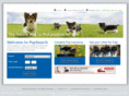 pupsearch.co.uk