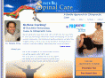 southhillspinalcare.com
