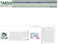 msshk.com