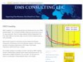 dmsconsultingllc.com