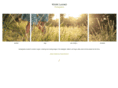 ziimages.com