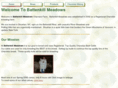 battenkillmeadows.com
