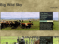 bigwildsky.com