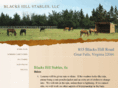 blackhillstables.com