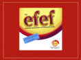 efefschule.org