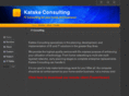 katskeconsulting.com