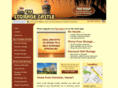storage-castle.com
