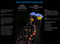 tarvisiocomeaula.org