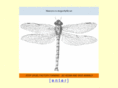 dragonfly99.net