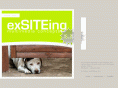 exsiteing.com