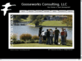 gooseworksconsulting.com