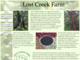 lostcreekfarmorganics.com