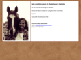 rodeheaverdvm.com
