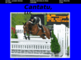cantatullc.com