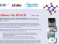 reach-alliance.com