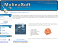 molinasoft.com