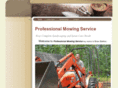 professionalmowingservice.com